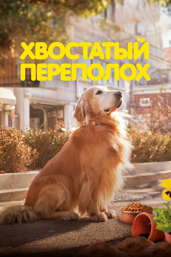 Хвостатый переполох